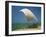 Fishermen in the Shade of a Sail on a Fishing Boat on the Beach at Negombo, Sri Lanka-Richardson Rolf-Framed Photographic Print