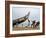 Fishermen, Kerala, India-Ivan Vdovin-Framed Photographic Print