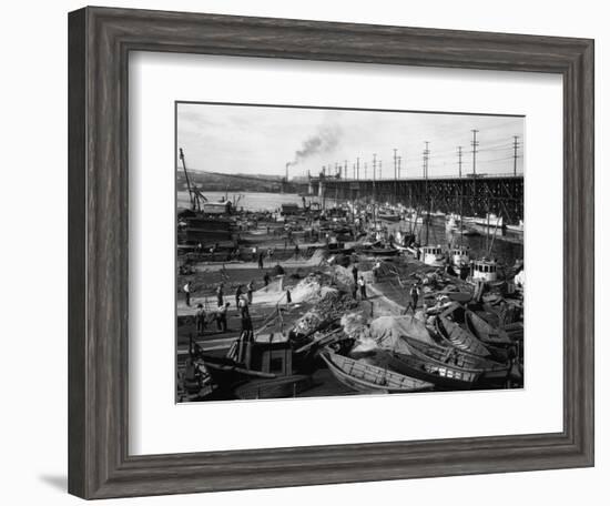 Fishermen's Terminal at Salmon Bay Photograph - Seattle, WA-Lantern Press-Framed Art Print