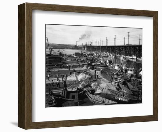 Fishermen's Terminal at Salmon Bay Photograph - Seattle, WA-Lantern Press-Framed Art Print