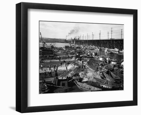 Fishermen's Terminal at Salmon Bay Photograph - Seattle, WA-Lantern Press-Framed Art Print