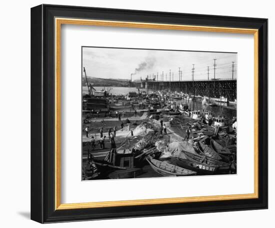 Fishermen's Terminal at Salmon Bay Photograph - Seattle, WA-Lantern Press-Framed Art Print
