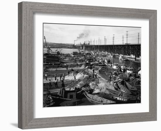 Fishermen's Terminal at Salmon Bay Photograph - Seattle, WA-Lantern Press-Framed Art Print