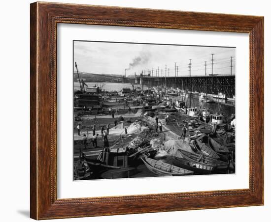 Fishermen's Terminal at Salmon Bay Photograph - Seattle, WA-Lantern Press-Framed Art Print