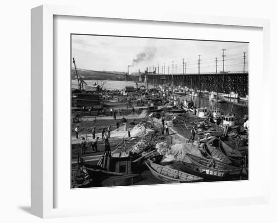 Fishermen's Terminal at Salmon Bay Photograph - Seattle, WA-Lantern Press-Framed Art Print