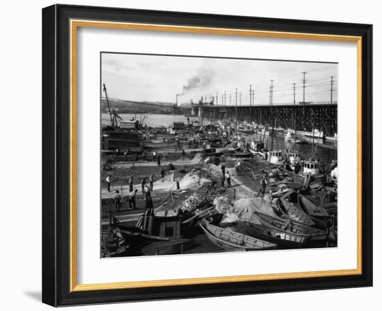 Fishermen's Terminal at Salmon Bay Photograph - Seattle, WA-Lantern Press-Framed Art Print