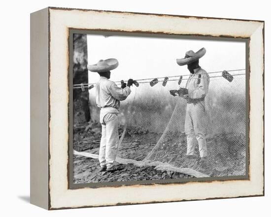 Fishermen with Nets, Mexico, C.1926-Tina Modotti-Framed Premier Image Canvas