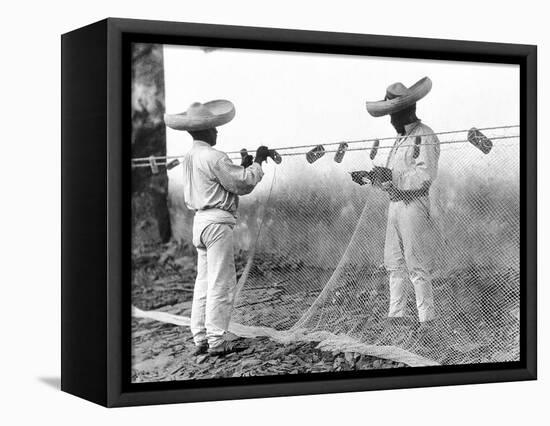 Fishermen with Nets, Mexico, C.1926-Tina Modotti-Framed Premier Image Canvas