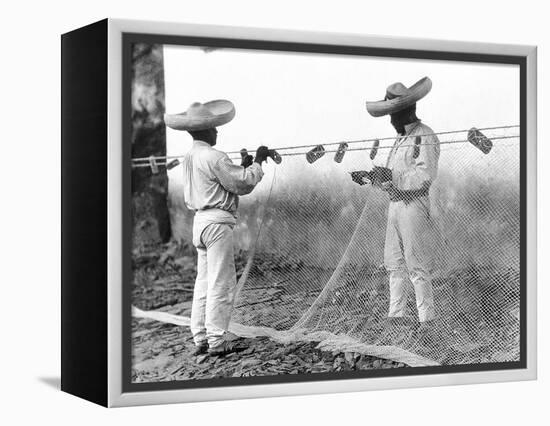 Fishermen with Nets, Mexico, C.1926-Tina Modotti-Framed Premier Image Canvas