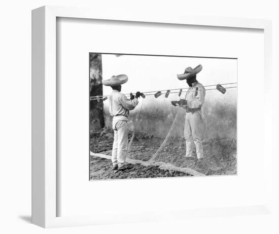 Fishermen with Nets, Mexico, C.1926-Tina Modotti-Framed Giclee Print