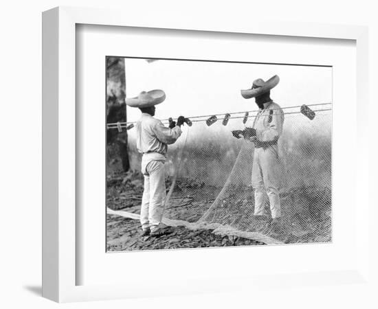 Fishermen with Nets, Mexico, C.1926-Tina Modotti-Framed Giclee Print