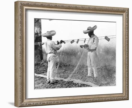 Fishermen with Nets, Mexico, C.1926-Tina Modotti-Framed Giclee Print