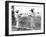 Fishermen with Nets, Mexico, C.1926-Tina Modotti-Framed Giclee Print