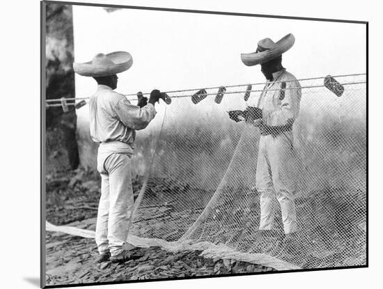 Fishermen with Nets, Mexico, C.1926-Tina Modotti-Mounted Giclee Print