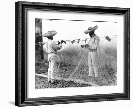 Fishermen with Nets, Mexico, C.1926-Tina Modotti-Framed Giclee Print