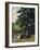 Fishermen-Jean-Baptiste-Armand Guillaumin-Framed Art Print