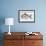 Fishes: Atlantic Pomfret (Brama Brama)-null-Framed Giclee Print displayed on a wall