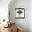 Fishes: Rajiformes, Common Eagle Ray , (Myliobatis Aquila)-null-Framed Giclee Print displayed on a wall