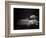 Fishes Swimming-Henry Horenstein-Framed Photographic Print