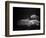 Fishes Swimming-Henry Horenstein-Framed Photographic Print