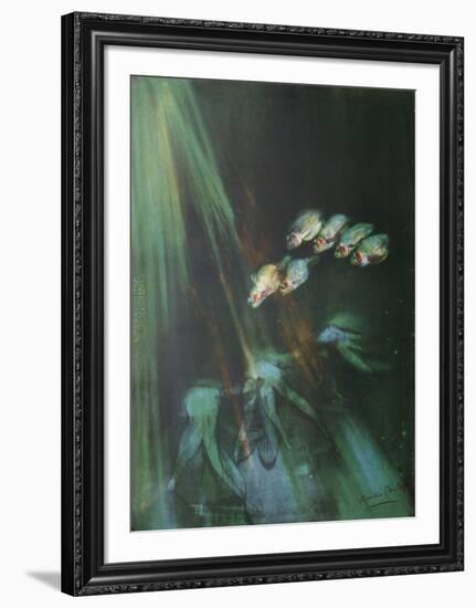 Fishes-Kaïko Moti-Framed Premium Edition