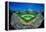 Fisheye view of crowd and diamond during a professional baseball game, Wrigley Field, Illinois-null-Framed Premier Image Canvas