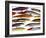 Fishing Artificial Lures, Thin Minnows-Anthony Harrison-Framed Photographic Print