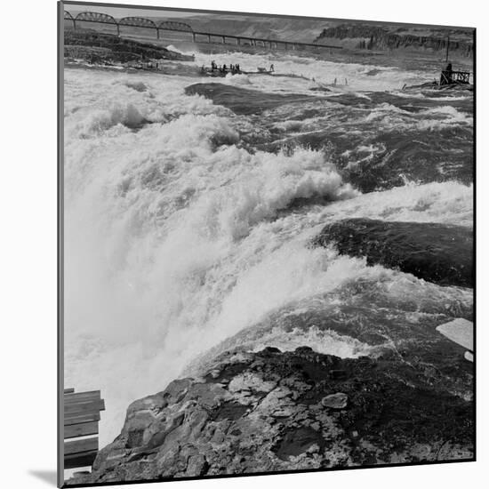 Fishing at Celilo Falls on the Columbia River, 1954-Virna Haffer-Mounted Giclee Print