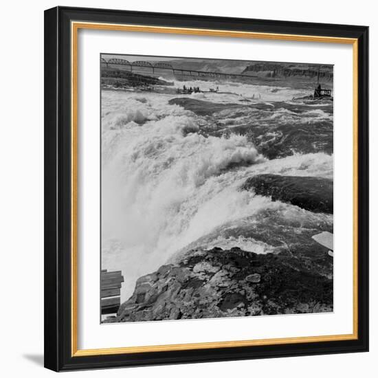 Fishing at Celilo Falls on the Columbia River, 1954-Virna Haffer-Framed Giclee Print