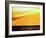 Fishing at Sunset-Josh Adamski-Framed Photographic Print