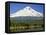 Fishing at Trillium Lake-Steve Terrill-Framed Premier Image Canvas