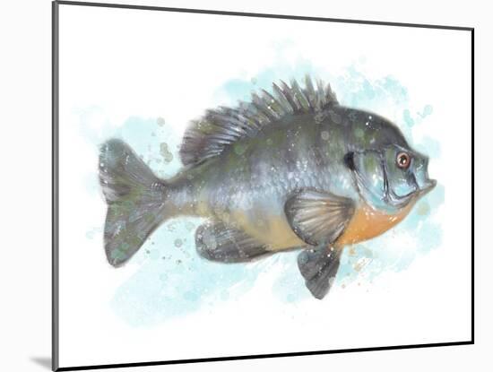 Fishing Bluegill-Matthew Piotrowicz-Mounted Art Print