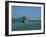 Fishing boat at anchor, Matara, Southern Province, Sri Lanka-null-Framed Photographic Print