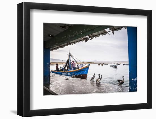 Fishing Boat at Fishing Harbour in Paracas National Reserve (Reserva Nacional De Paracas), Peru-Matthew Williams-Ellis-Framed Photographic Print