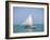 Fishing Boat, Caye Caulker, Belize-Russell Young-Framed Photographic Print