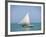 Fishing Boat, Caye Caulker, Belize-Russell Young-Framed Photographic Print