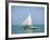 Fishing Boat, Caye Caulker, Belize-Russell Young-Framed Photographic Print