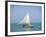 Fishing Boat, Caye Caulker, Belize-Russell Young-Framed Photographic Print