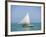 Fishing Boat, Caye Caulker, Belize-Russell Young-Framed Photographic Print