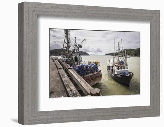 Fishing Boat in Mangonui Harbour, Northland Region, North Island, New Zealand, Pacific-Matthew Williams-Ellis-Framed Photographic Print