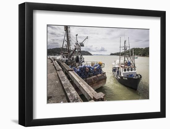 Fishing Boat in Mangonui Harbour, Northland Region, North Island, New Zealand, Pacific-Matthew Williams-Ellis-Framed Photographic Print