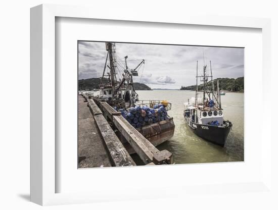 Fishing Boat in Mangonui Harbour, Northland Region, North Island, New Zealand, Pacific-Matthew Williams-Ellis-Framed Photographic Print