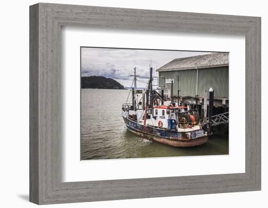 Fishing Boat in Mangonui Harbour, Northland Region, North Island, New Zealand, Pacific-Matthew Williams-Ellis-Framed Photographic Print