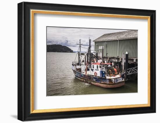 Fishing Boat in Mangonui Harbour, Northland Region, North Island, New Zealand, Pacific-Matthew Williams-Ellis-Framed Photographic Print