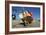 Fishing Boat in the Harbour at Low Tide, St Ives, Cornwall-Peter Thompson-Framed Photographic Print