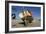 Fishing Boat in the Harbour at Low Tide, St Ives, Cornwall-Peter Thompson-Framed Photographic Print