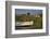 Fishing Boat in the Reed of the Saaler Bodden Close Ahrenshoop-Althagen-Uwe Steffens-Framed Photographic Print