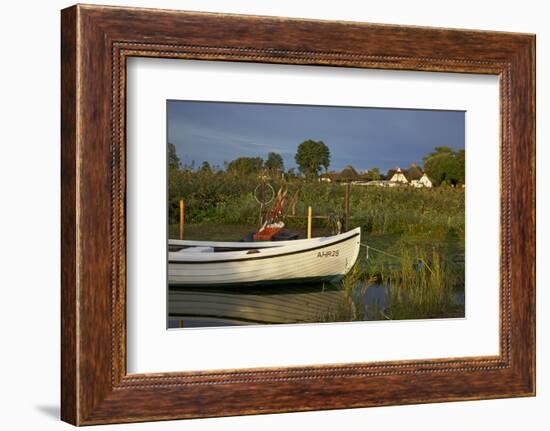 Fishing Boat in the Reed of the Saaler Bodden Close Ahrenshoop-Althagen-Uwe Steffens-Framed Photographic Print