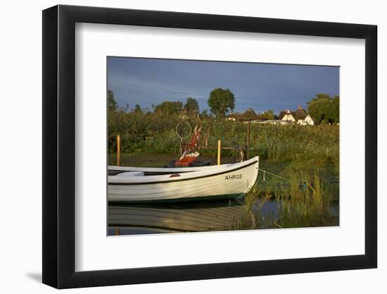 Fishing Boat in the Reed of the Saaler Bodden Close Ahrenshoop-Althagen-Uwe Steffens-Framed Photographic Print