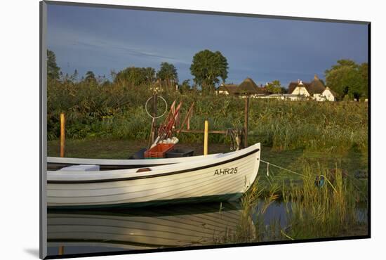 Fishing Boat in the Reed of the Saaler Bodden Close Ahrenshoop-Althagen-Uwe Steffens-Mounted Photographic Print